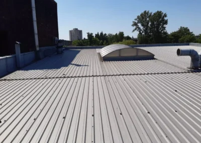 Świetliki na dachu