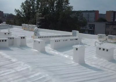 Dach w kolorze białym